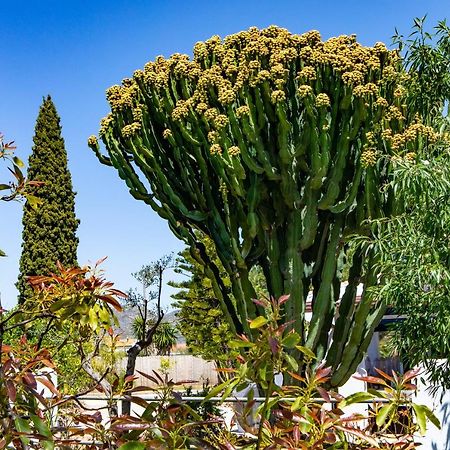 The Palms Boutique Resort Malaga - Adults Only Alhaurín de la Torre Екстериор снимка