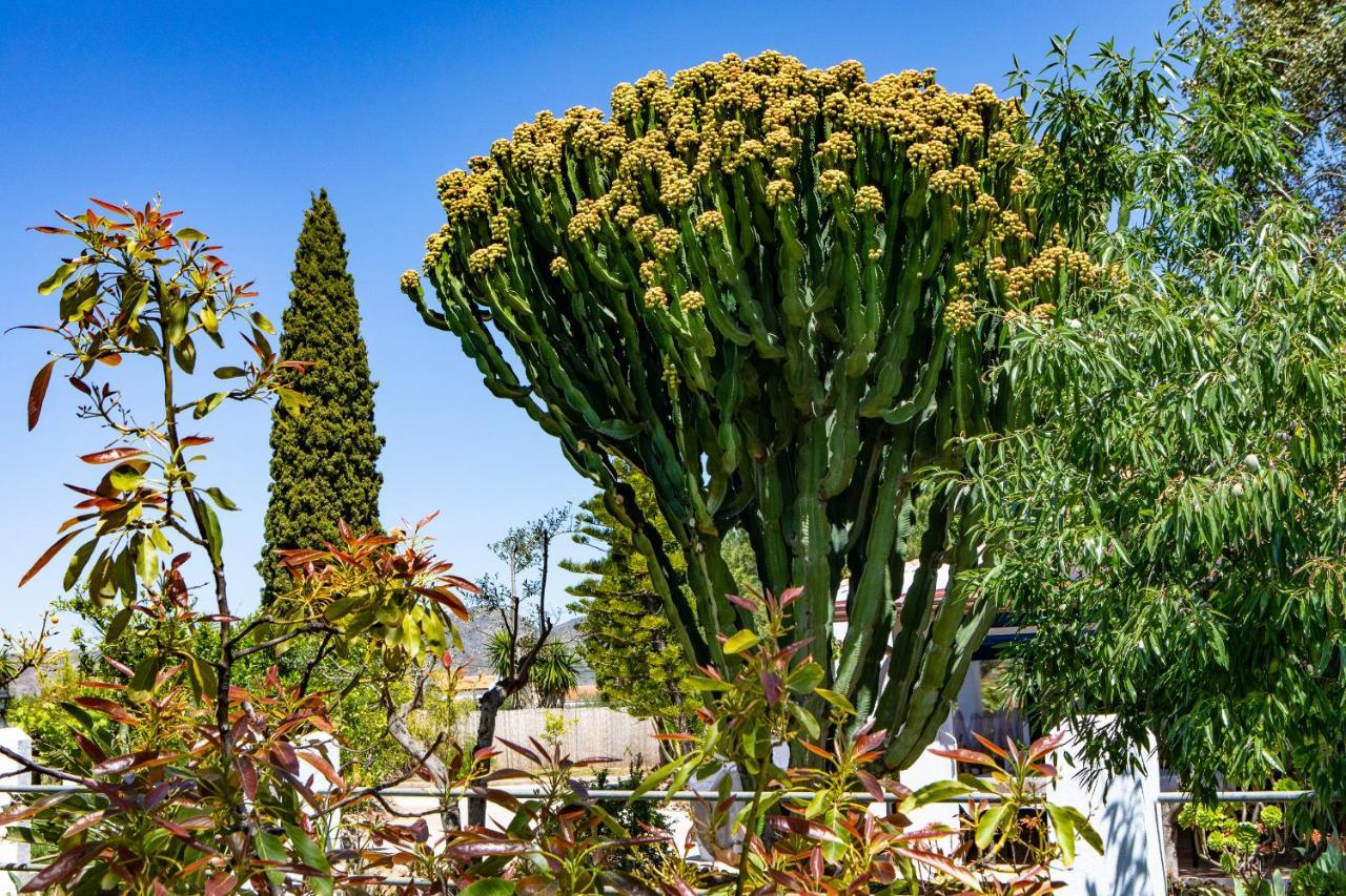 The Palms Boutique Resort Malaga - Adults Only Alhaurín de la Torre Екстериор снимка