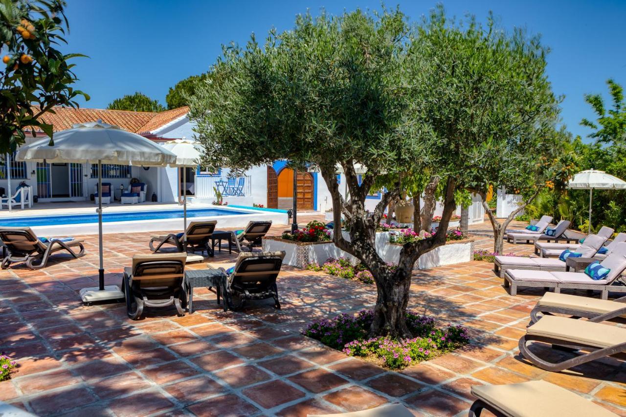 The Palms Boutique Resort Malaga - Adults Only Alhaurín de la Torre Екстериор снимка